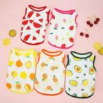 Roupas estampadas de frutas para animais de estimação, roupas fofas para animais de estimação, seção fina de verão - Imagem 7