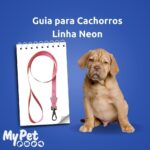 MY PET BRASIL Guia Neon Para Cachorros M Guia Para Cães Reforçada E Resistente Caminhadas E Viagens Laranja - Imagem 2