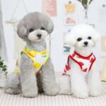 Roupas estampadas de frutas para animais de estimação, roupas fofas para animais de estimação, seção fina de verão - Imagem 3