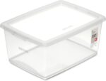 Ordene - Caixa Organizadora Plástica de 15 Litros com Tampa, Cor Cristal, Linha My Closet