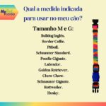 MY PET BRASIL Coleira Para Cachorros Pp Coleira Ajustável Madagascar Passeio E Viagem Confortável E Resistente - Imagem 8
