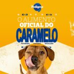 Petisco Pedigree Filezitos Bifinho Churrasco Cães Adultos 60g - Imagem 9