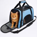 Bolsa Pet De Transporte De Avião Cachorro Gato - Azul - Imagem 2