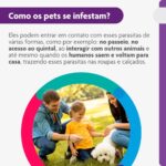 Bravecto® Cães 250mg - Antipulgas e Carrapatos - Cães de 4,5 a 10kg - 1 Comp. Mastigável - MSD Saúde Animal - Imagem 5