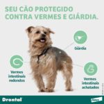 Vermífugo Bayer Drontal Plus Sabor Carne para Cães de até 10kg - 2 Comprimidos - Imagem 2