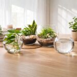 Vaso Aquário De Vidro Redondo 2,2 Litros Para Terrário - Imagem 3