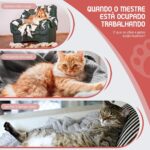 Bola Interativa Pet, Bolinha Pet, Brinquedo Interativo para Gatos, Brinquedos para Gatos, Brinquedo Gato, Bolinha Giratória Automática Rolamento Brinquedos Interativo Inteligente para Gatos e Cães - Imagem 2