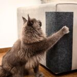 Tapete Arranhador Autoadesivo Premium para Gatos 30x100cm Carpete Resistente Cortável Protetor de Sofá Parede Cama Evita Arranhões Fácil de Aplicar - Imagem 8