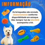 Kit 5 Brinquedo para Filhote Mordedor para cachorros Bolinha Pet Galinha Sonoro - Imagem 4