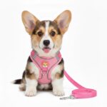 Coleira Peitoral para Cachorros e Gatos com Colete Reflexivo Regulável e Guia de Passeio Material Respirável, Brilha no Escuro, Ajuste Seguro com Fivela e Mosquetão (ROSA, L) - Imagem 7