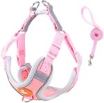 Coleira Peitoral para Cachorros e Gatos com Colete Reflexivo Regulável e Guia de Passeio Material Respirável, Brilha no Escuro, Ajuste Seguro com Fivela e Mosquetão (ROSA, L) - Imagem 2