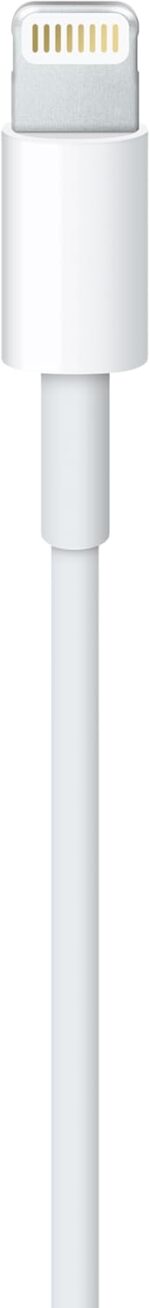 Cabo Apple Lightning para USB (1 m) - Imagem 3