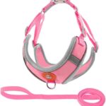 Coleira Peitoral para Cachorros e Gatos com Colete Reflexivo Regulável e Guia de Passeio Material Respirável, Brilha no Escuro, Ajuste Seguro com Fivela e Mosquetão (ROSA, L)