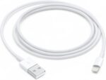 Cabo Apple Lightning para USB (1 m)