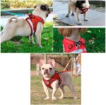 Coleira Peitoral para Cachorros e Gatos com Colete Reflexivo Regulável e Guia de Passeio (VERMELHO, M) - Imagem 6
