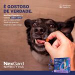 NexGard SPECTRA Antipulgas e Vermífugo para Cães de 7,6 a 15kg - 1 tablete - Imagem 6