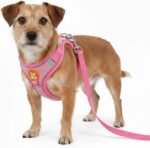 Coleira Peitoral para Cachorros e Gatos com Colete Reflexivo Regulável e Guia de Passeio Material Respirável, Brilha no Escuro, Ajuste Seguro com Fivela e Mosquetão (ROSA, L) - Imagem 6