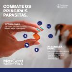 NexGard SPECTRA Antipulgas e Vermífugo para Cães de 7,6 a 15kg - 1 tablete - Imagem 7