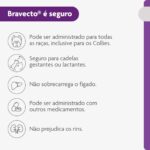 Bravecto® Cães 1000mg - Antipulgas e Carrapatos - Cães de 20 a 40kg - 1 Comp. Mastigável - MSD Saúde Animal - Imagem 11