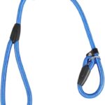 Guia Unificada para Pets em Nylon Reforçado 137cm com Alça de Mão Resistente e Segura para Passeios (Azul)