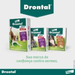 Vermífugo Bayer Drontal Plus Sabor Carne para Cães de até 35kg - 2 Comprimidos - Imagem 7