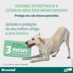 Vermífugo Bayer Drontal Plus Sabor Carne para Cães de até 35kg - 2 Comprimidos - Imagem 6