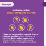 Bravecto® Cães 1000mg - Antipulgas e Carrapatos - Cães de 20 a 40kg - 1 Comp. Mastigável - MSD Saúde Animal - Imagem 4