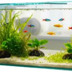 Aquário retangular transparente – Aquário compacto para peixes betta e pequenos peixes de água doce, adequado para residências, escritórios e decoração ambiental