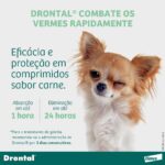 Vermífugo Bayer Drontal Plus Sabor Carne para Cães de até 35kg - 2 Comprimidos - Imagem 3
