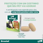 Vermífugo Bayer Drontal Plus Sabor Carne para Cães de até 35kg - 2 Comprimidos - Imagem 4