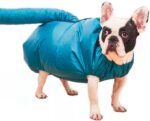 Capa De Secagem Rapida Animais Petshop Saco Para Secador Pelos Cachorro Petshop Pet L - Imagem 6