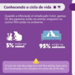Bravecto® Cães 1000mg - Antipulgas e Carrapatos - Cães de 20 a 40kg - 1 Comp. Mastigável - MSD Saúde Animal - Imagem 6