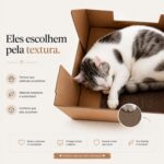 Casa para Gato com 2 Arranhadores e Rampa – Toca 2 em 1 Modelo Kubo com Almofada - Imagem 4