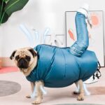 Capa De Secagem Rapida Animais Petshop Saco Para Secador Pelos Cachorro Petshop Pet L - Imagem 3