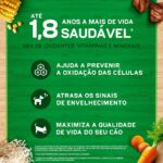 Purina Dog Chow Ração Adulto Raças Pequenas Frango e Arroz - 15kg para Todas Pequeno Adulto - Sabor Frango - Imagem 7