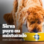 Pack Ração Úmida Pedigree Sachê Frango ao Molho para Cães Adultos de Raças Pequenas - Leve 18 Pague 15 - Imagem 10